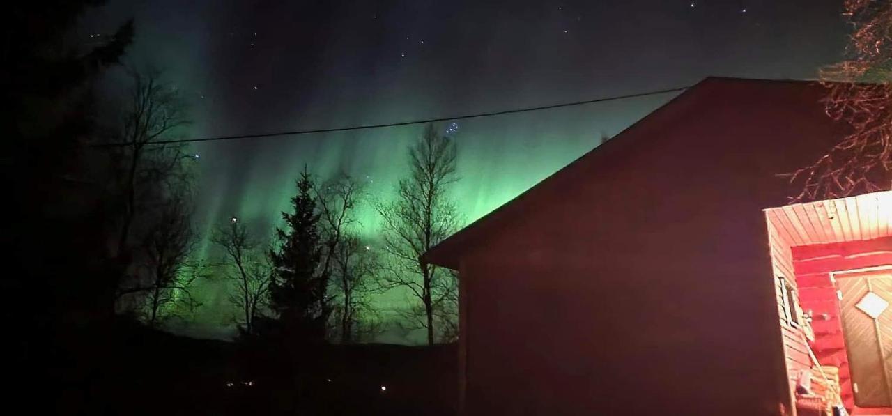 Cosy Cabin In North-Norway, Nearby Senja. Sorreisa Kültér fotó