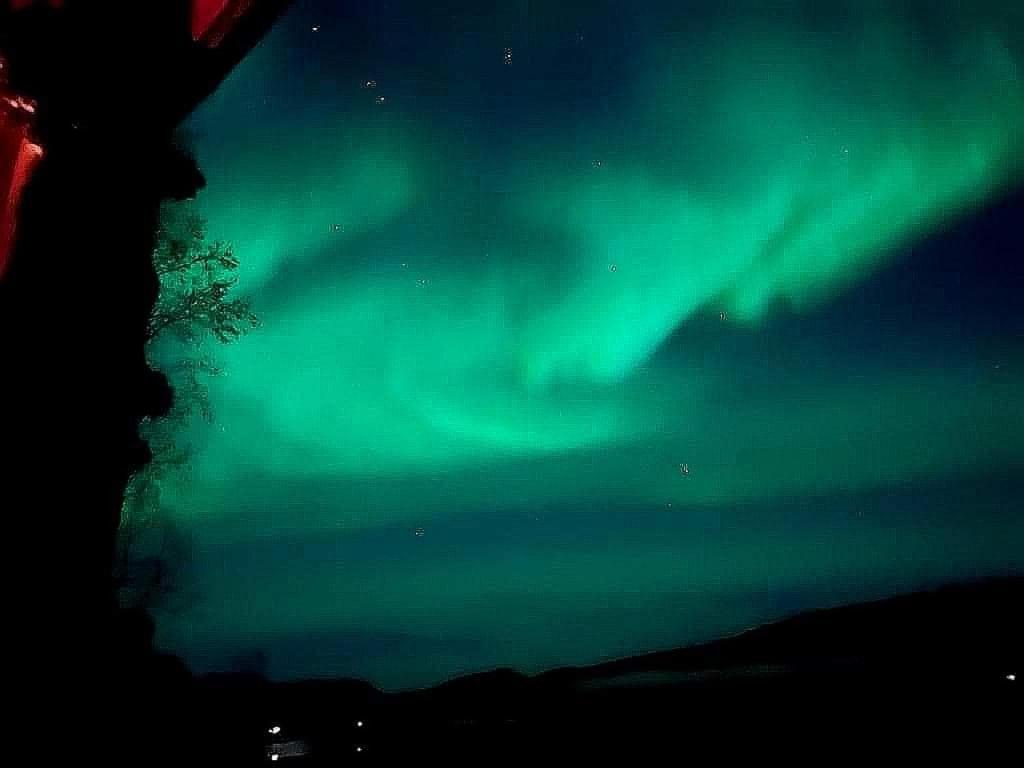 Cosy Cabin In North-Norway, Nearby Senja. Sorreisa Kültér fotó